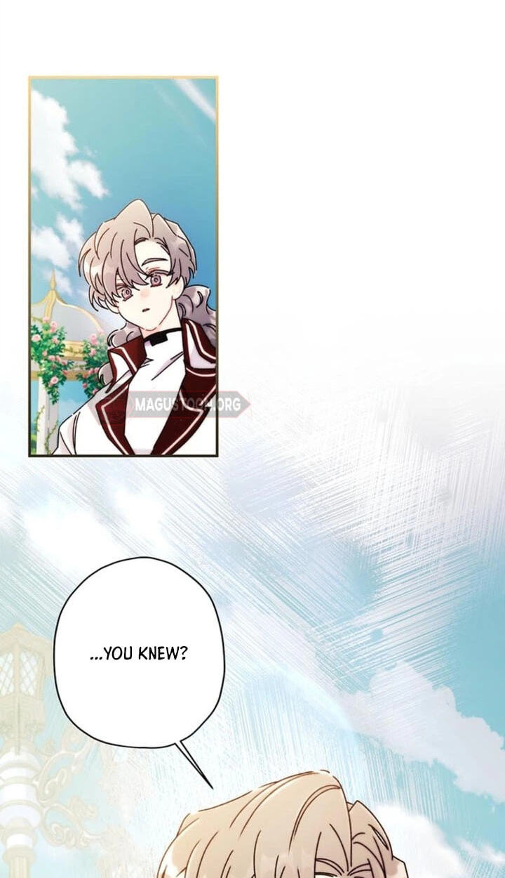 The Male Lead