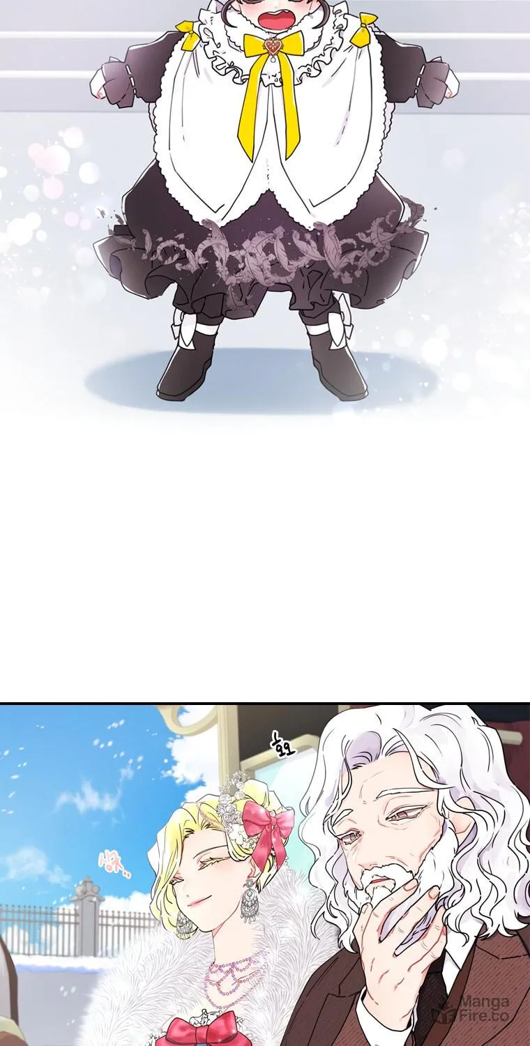 The Male Lead