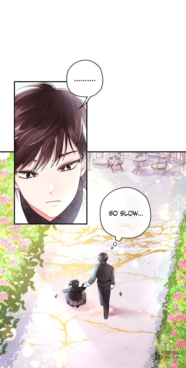 The Male Lead