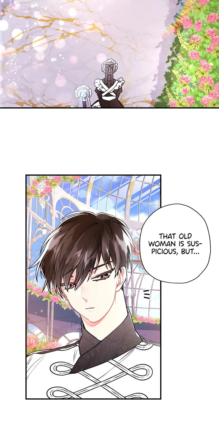 The Male Lead