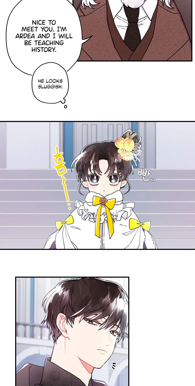 The Male Lead