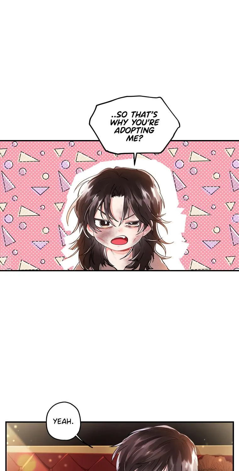 The Male Lead