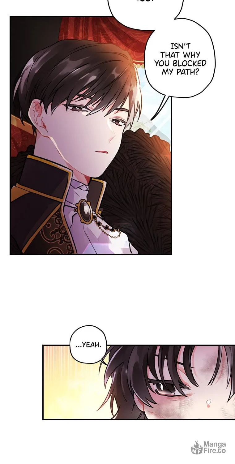 The Male Lead