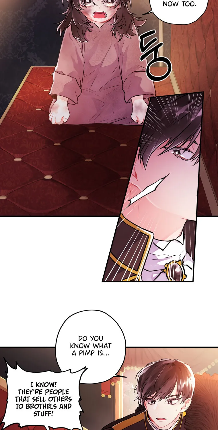 The Male Lead