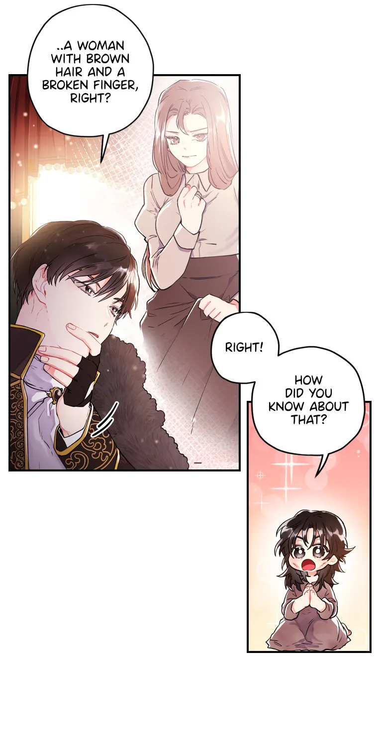 The Male Lead