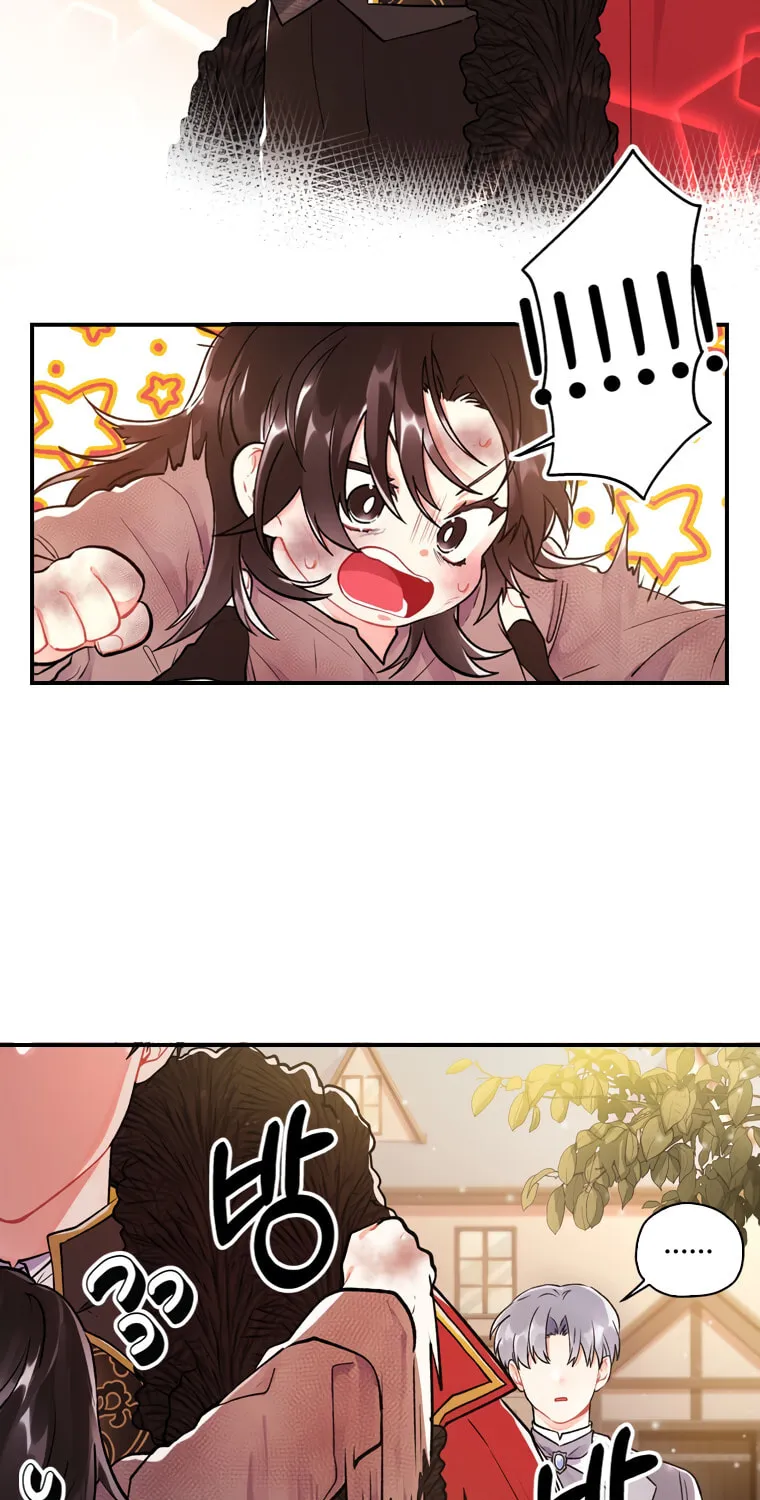 The Male Lead
