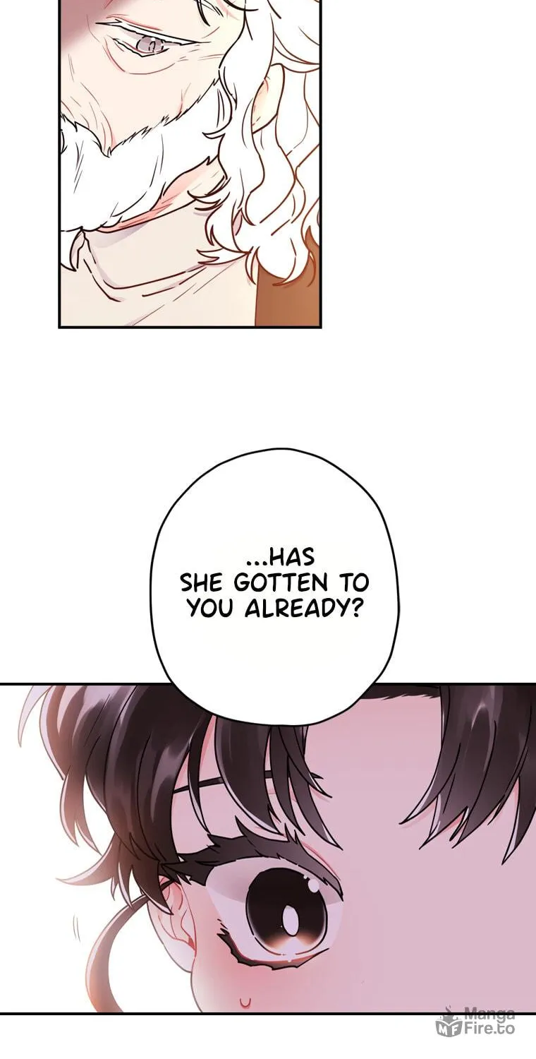 The Male Lead