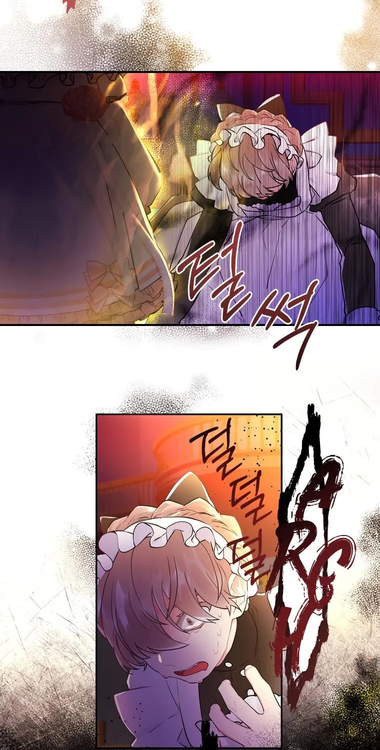 The Male Lead
