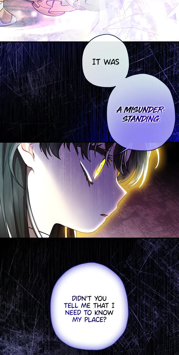 The Male Lead