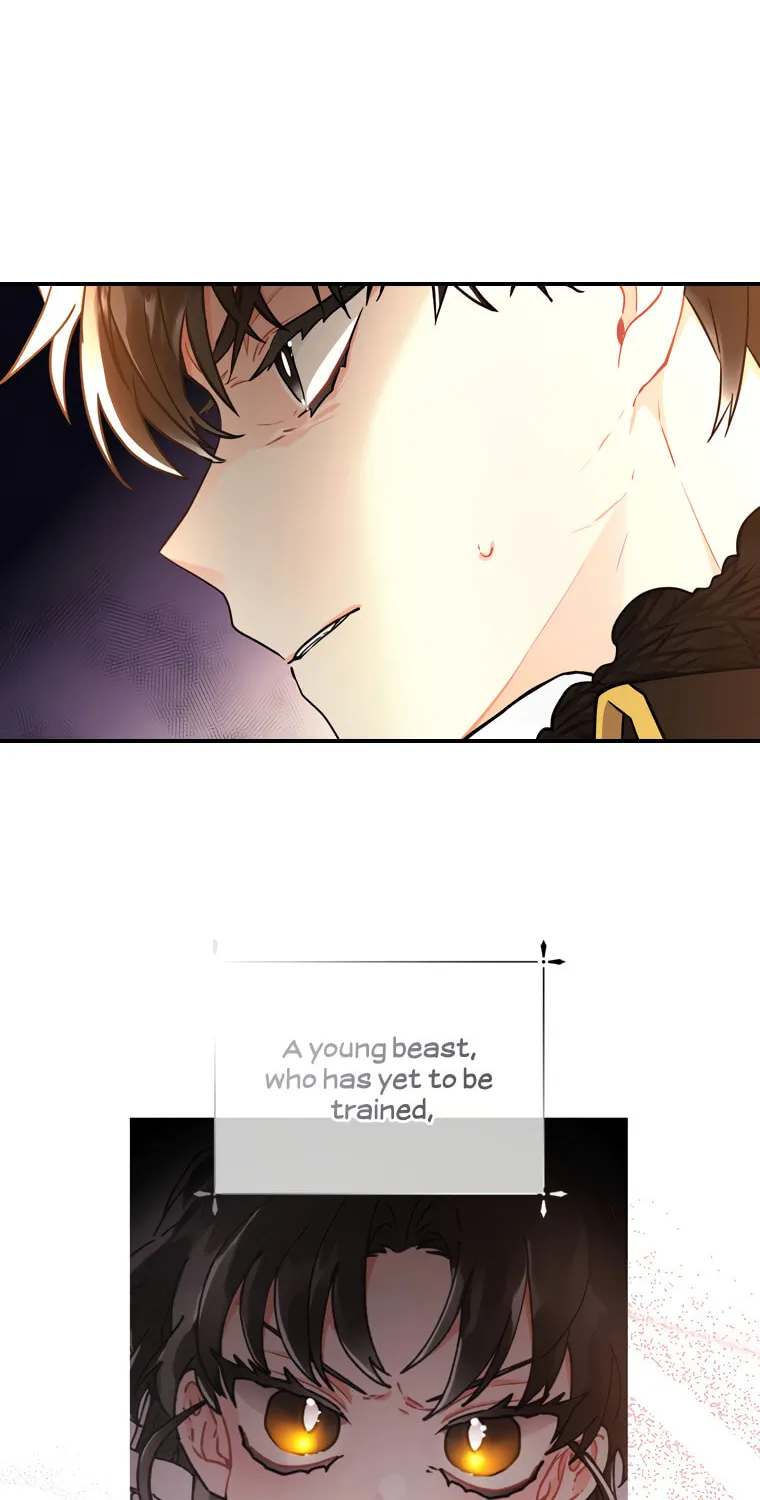 The Male Lead