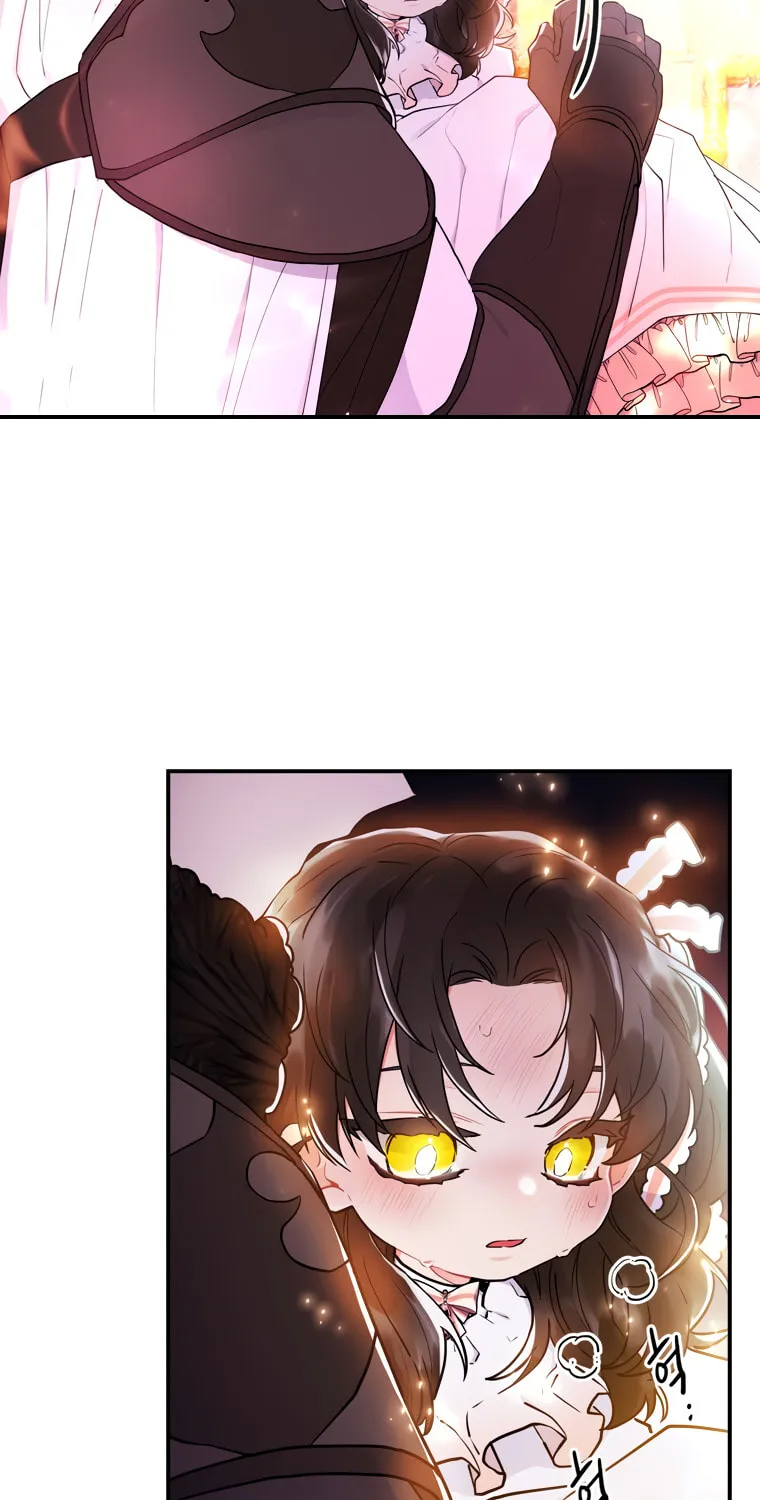 The Male Lead