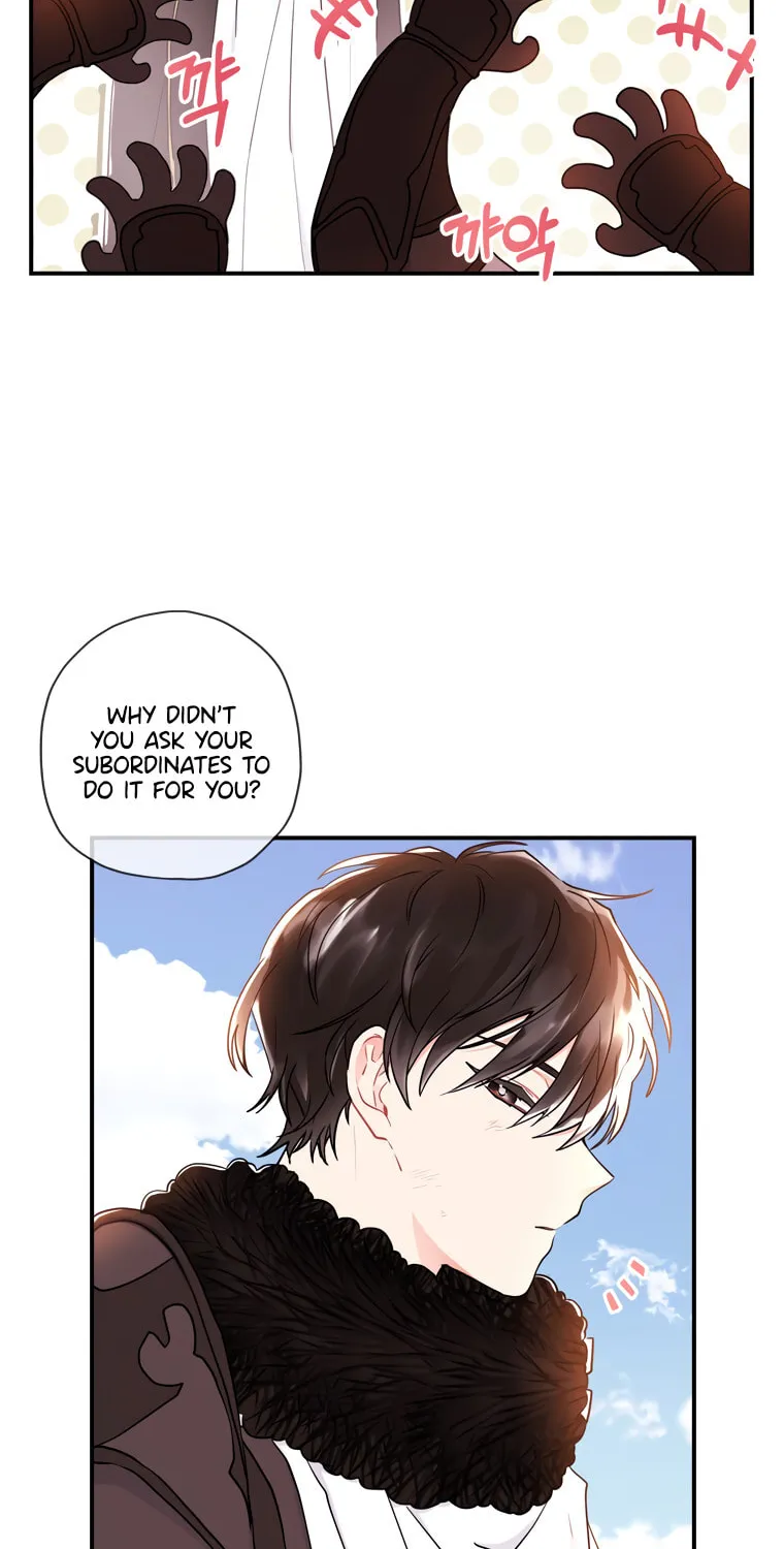 The Male Lead