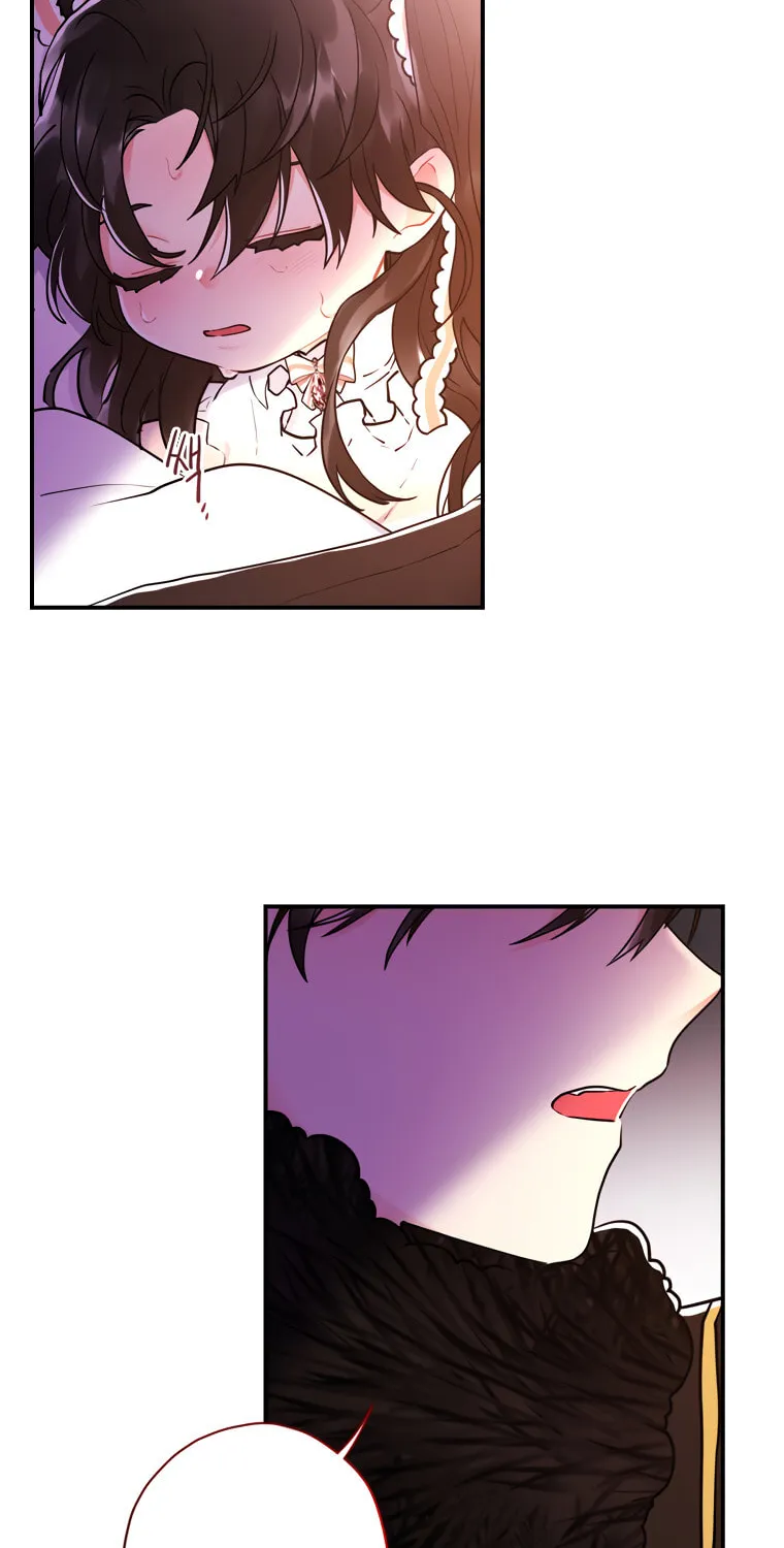 The Male Lead