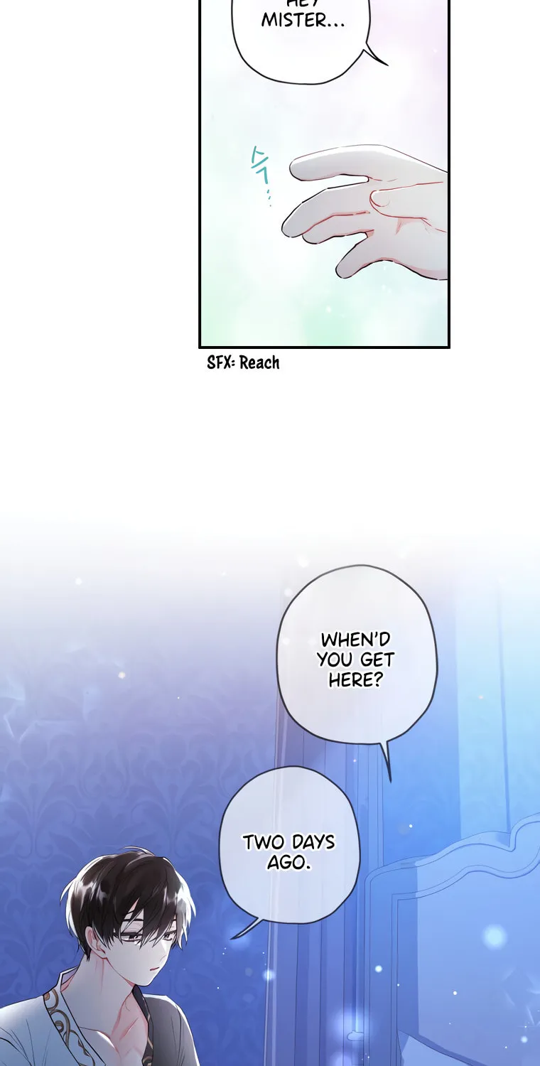 The Male Lead