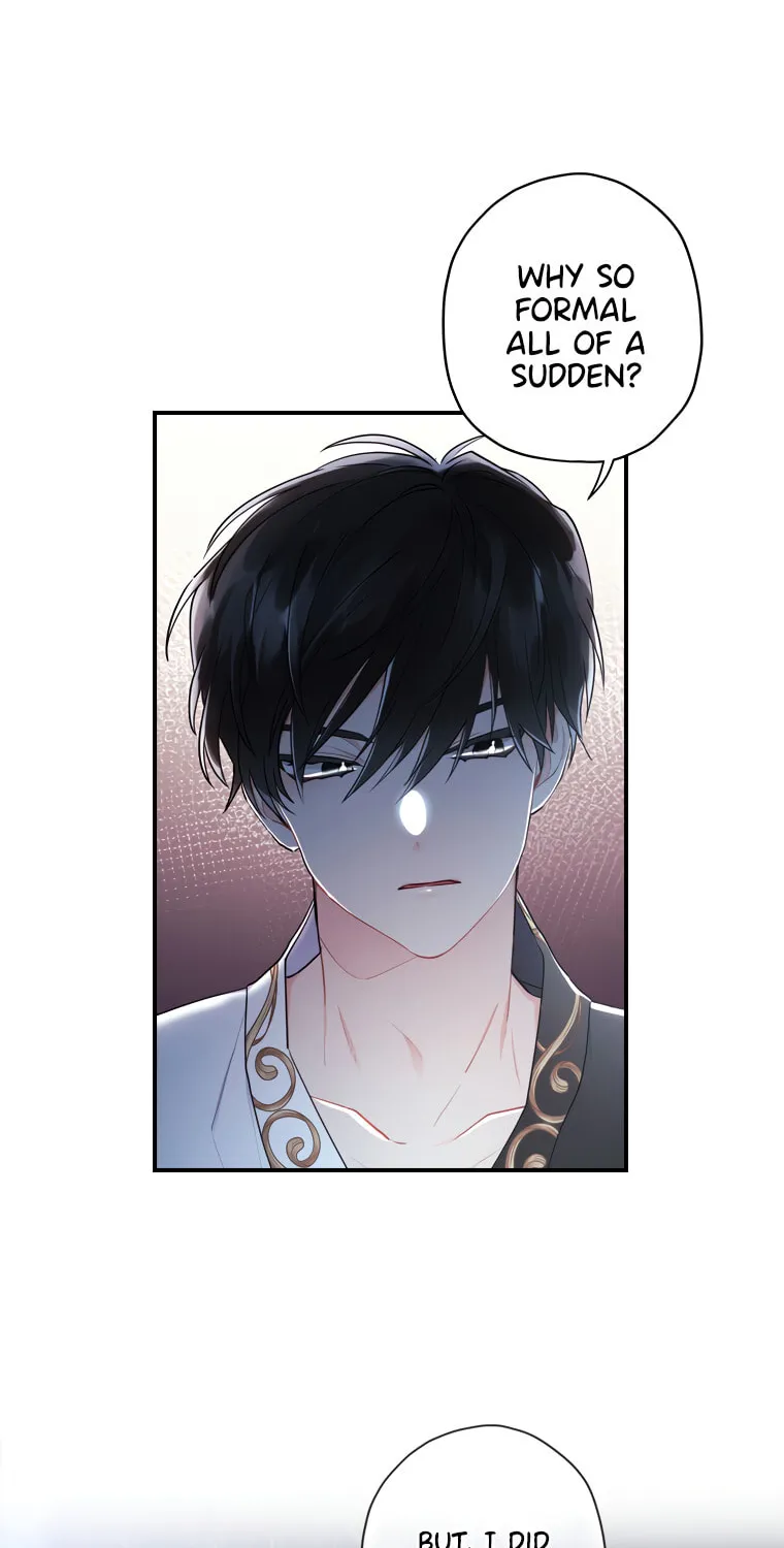 The Male Lead