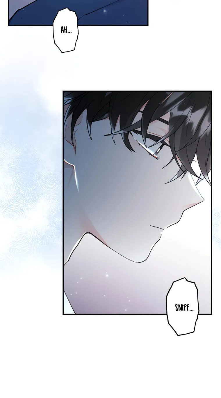 The Male Lead