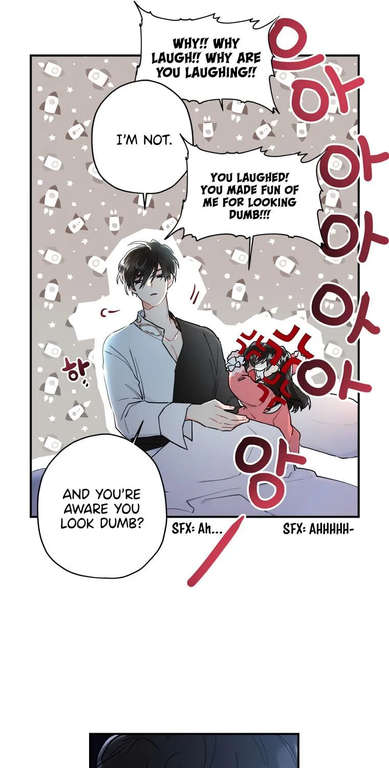 The Male Lead