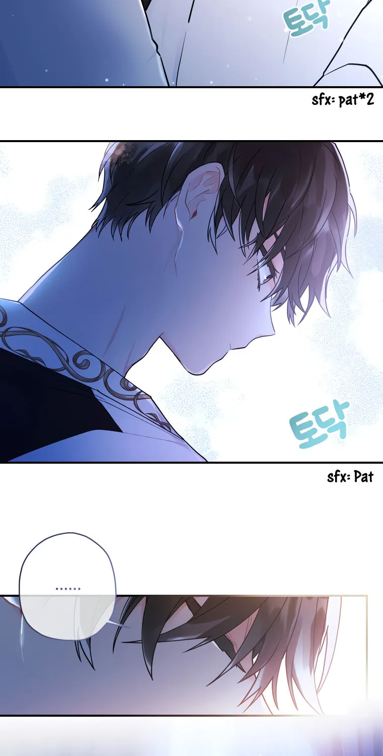 The Male Lead