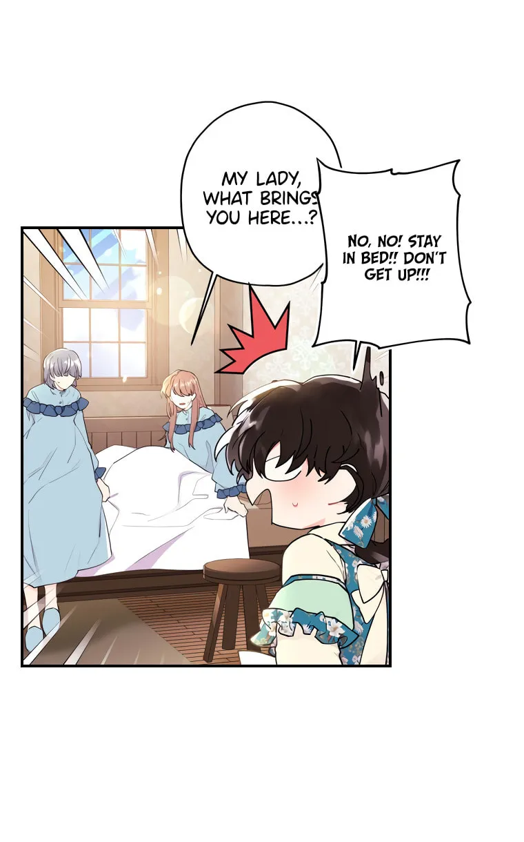 The Male Lead