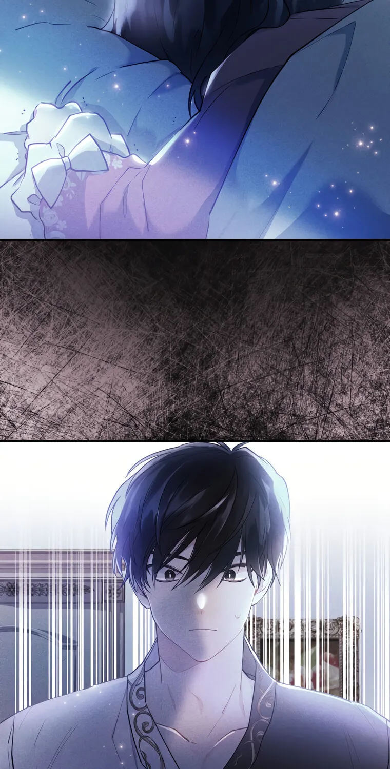 The Male Lead