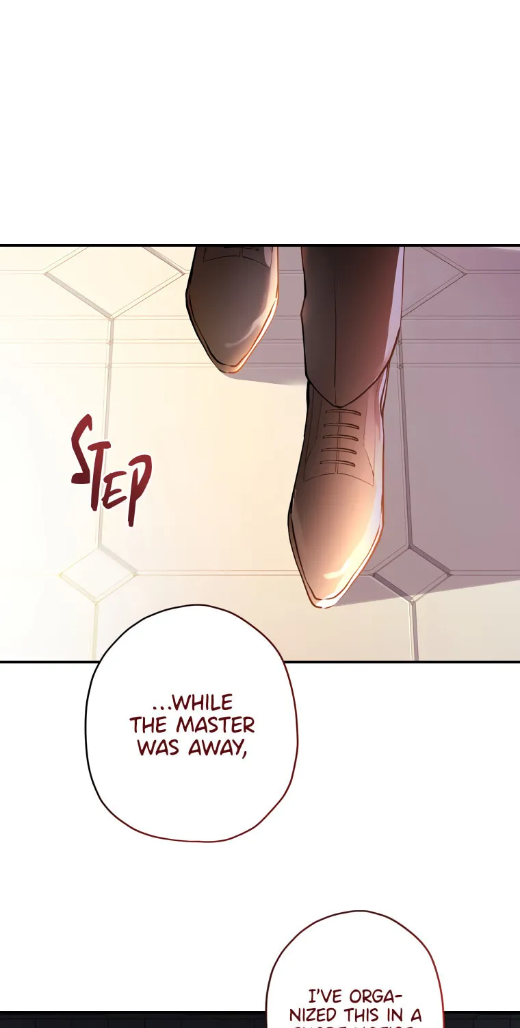 The Male Lead