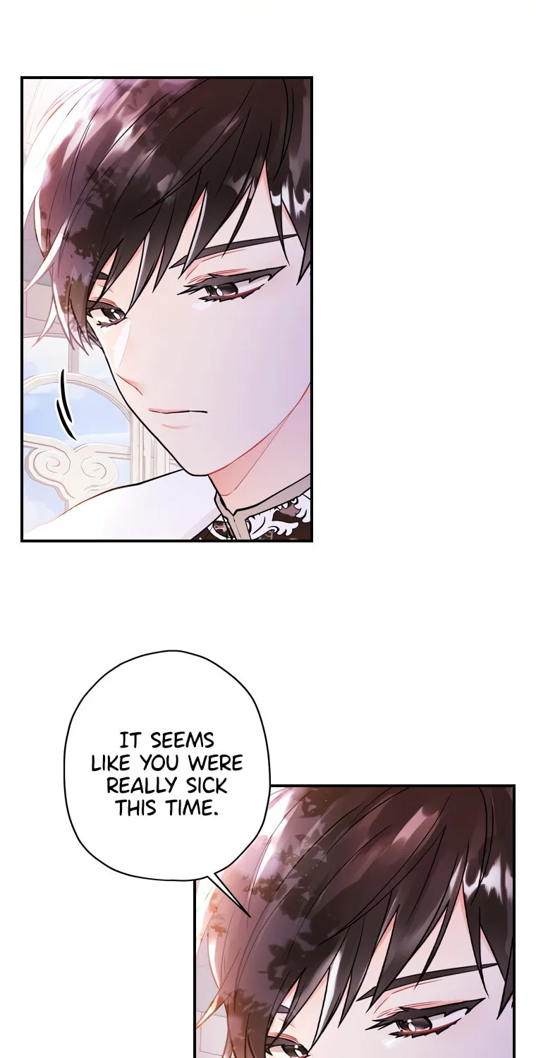 The Male Lead