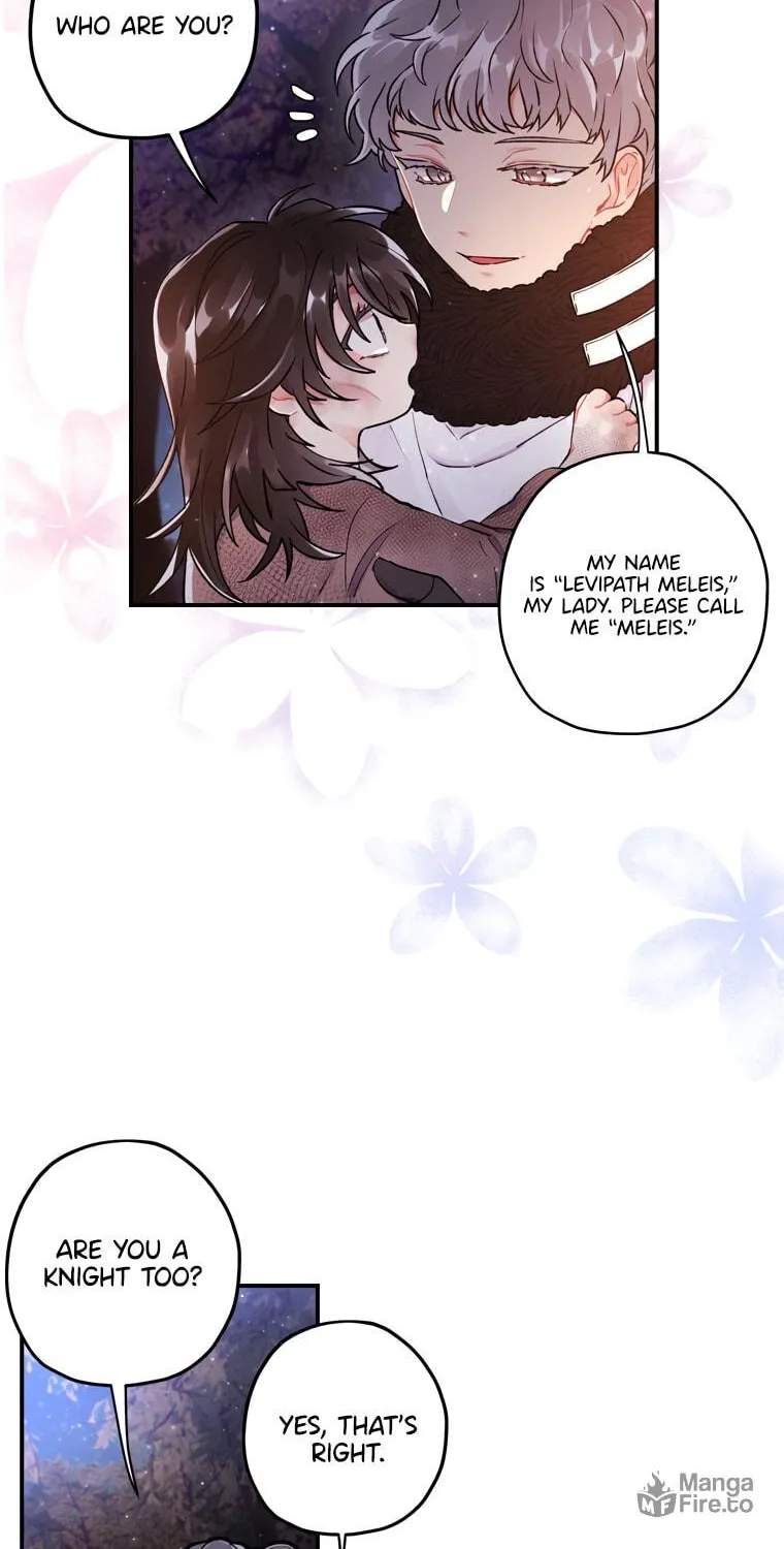 The Male Lead