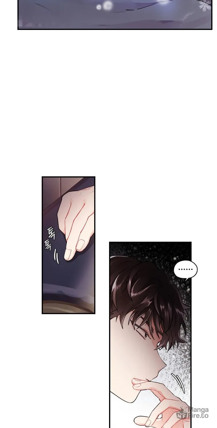 The Male Lead