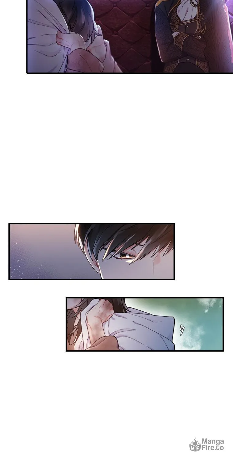 The Male Lead