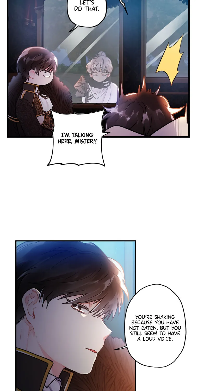 The Male Lead