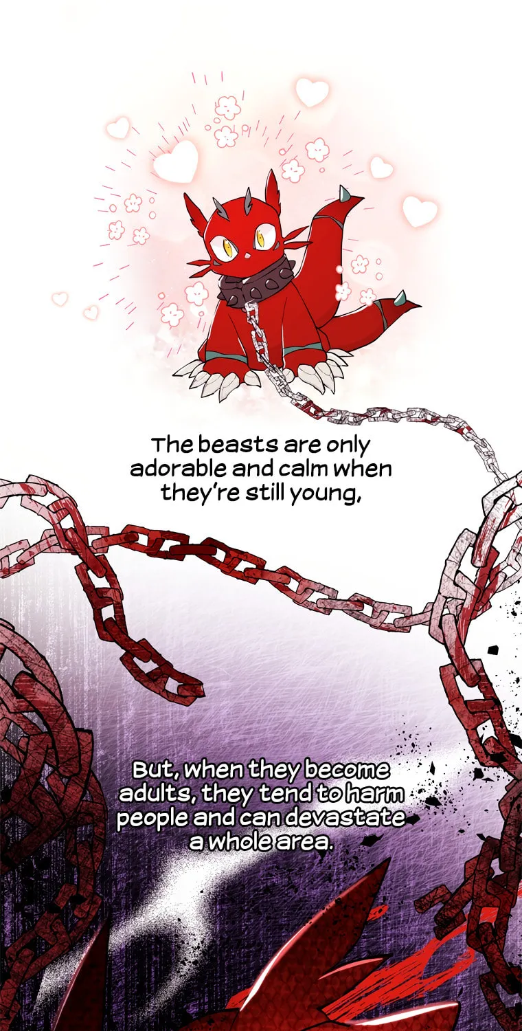 The Male Lead