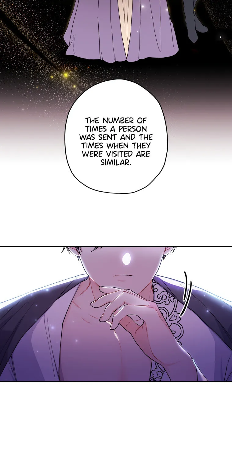 The Male Lead