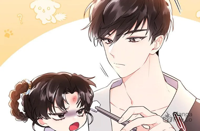 The Male Lead