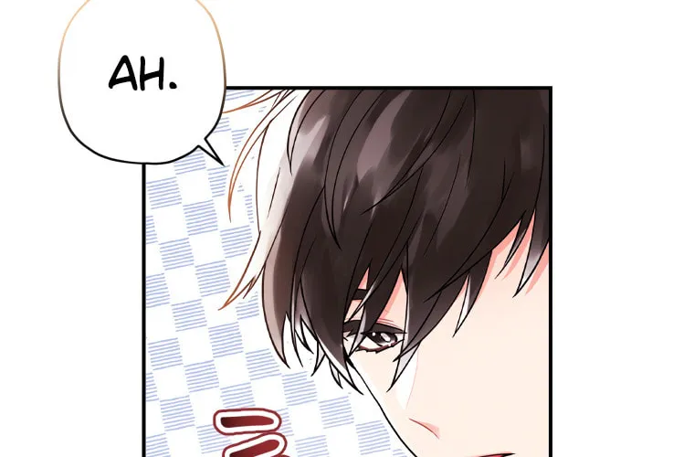 The Male Lead