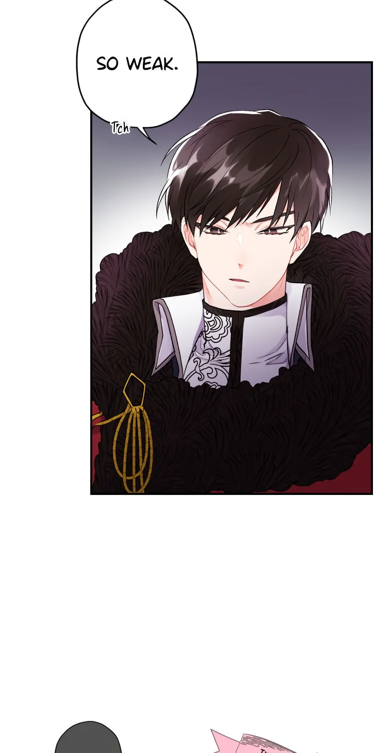 The Male Lead