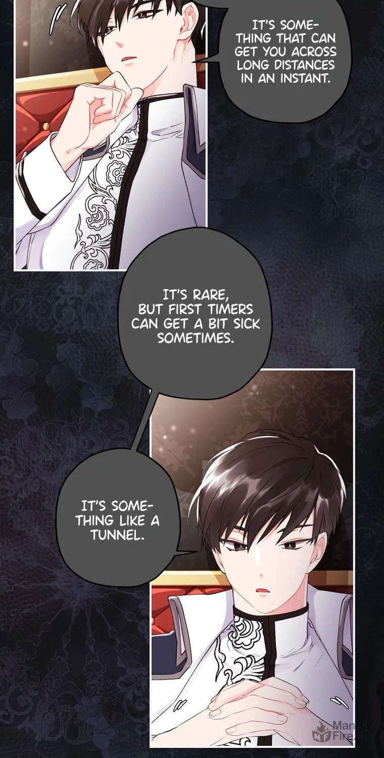 The Male Lead