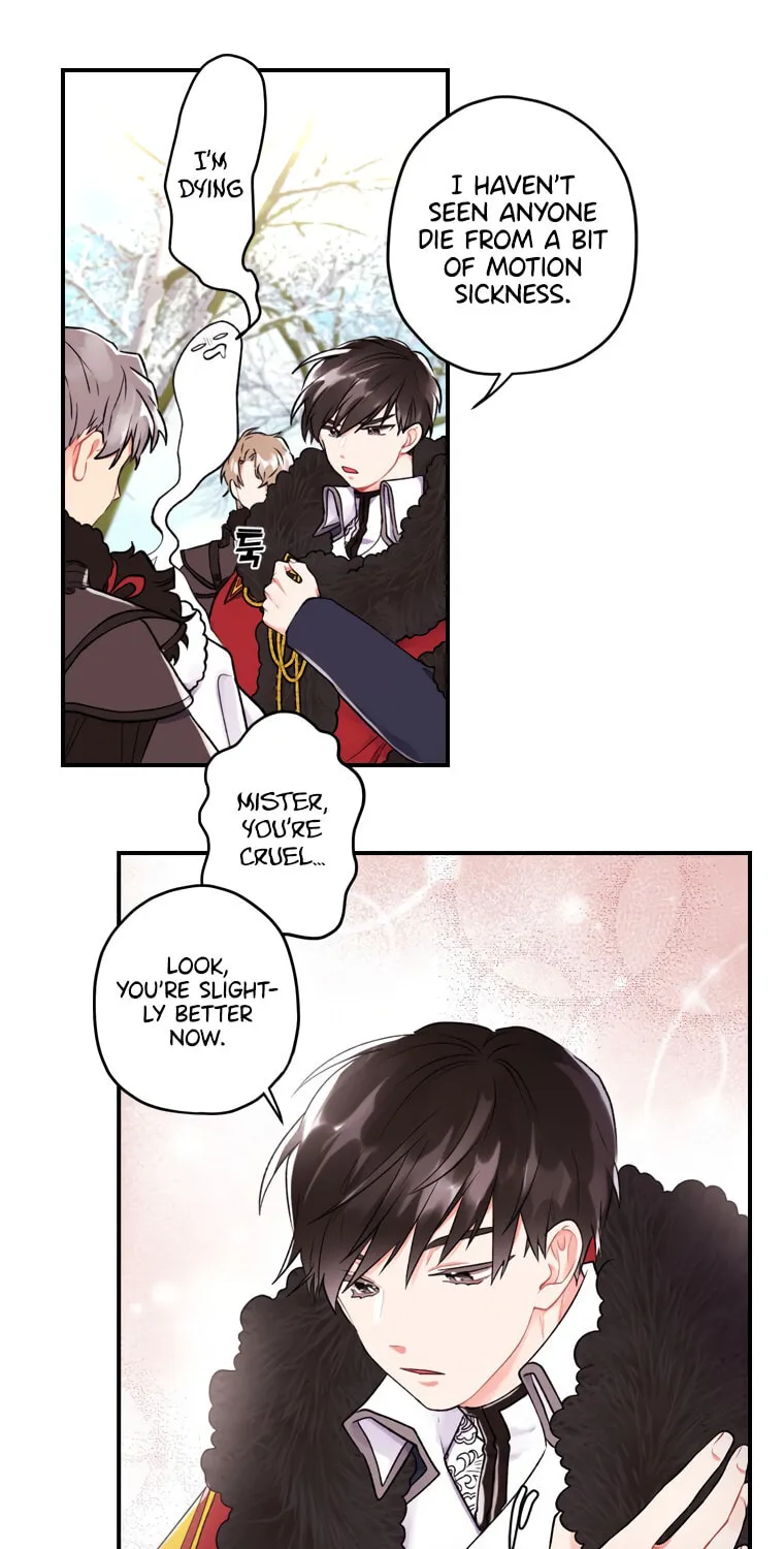The Male Lead