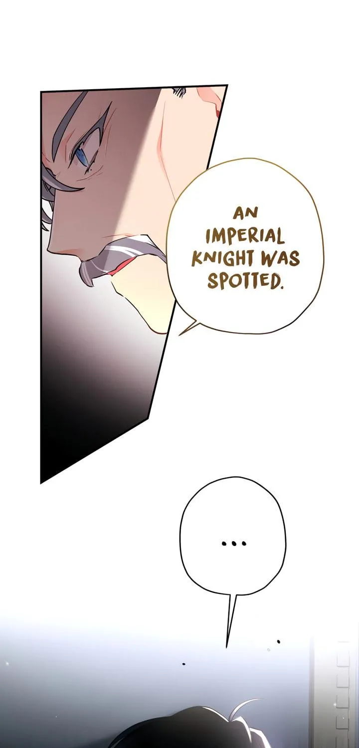 The Male Lead