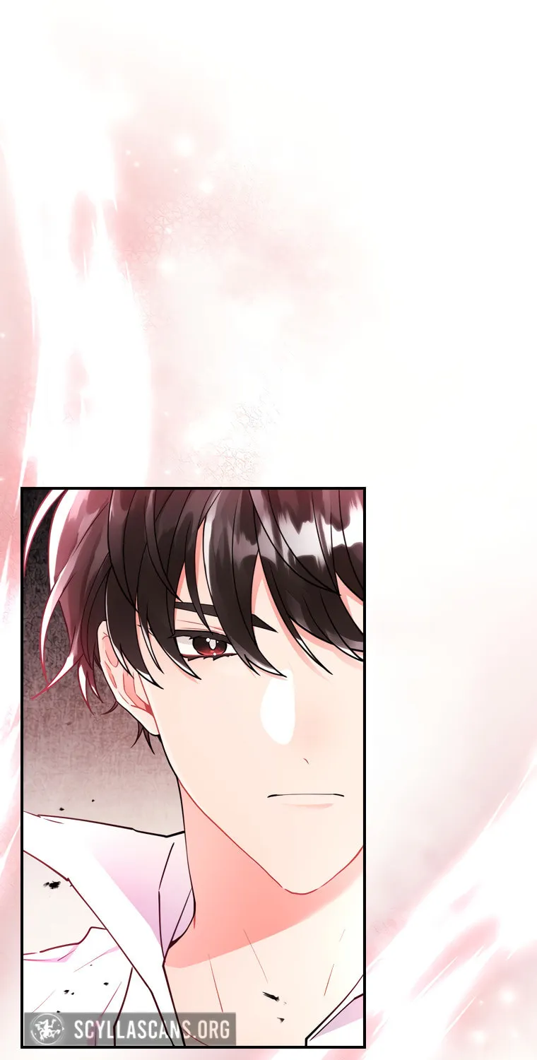 The Male Lead