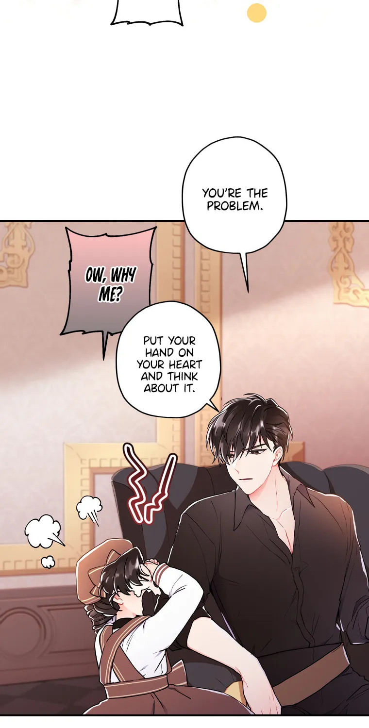 The Male Lead
