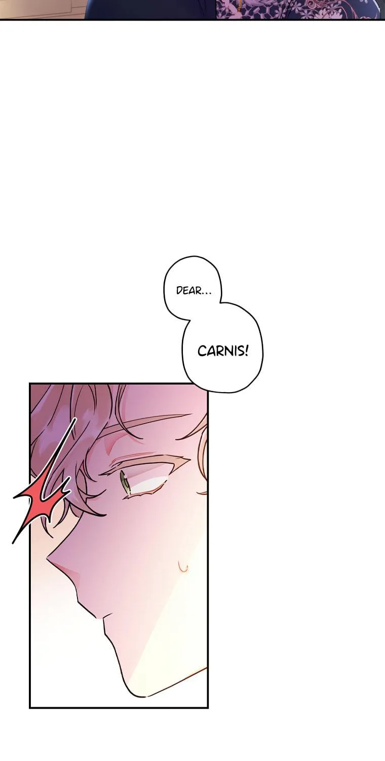The Male Lead