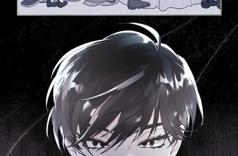 The Male Lead