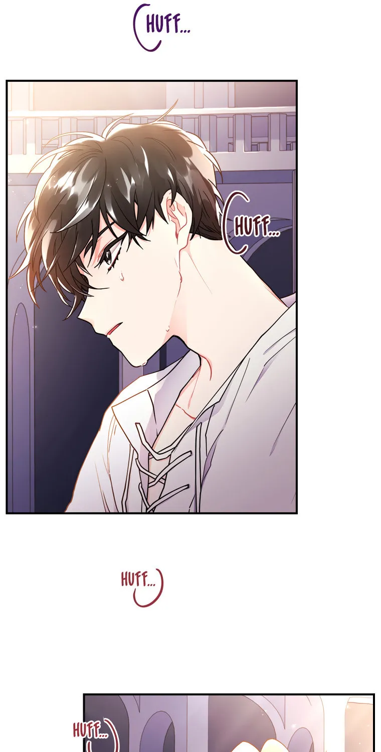 The Male Lead