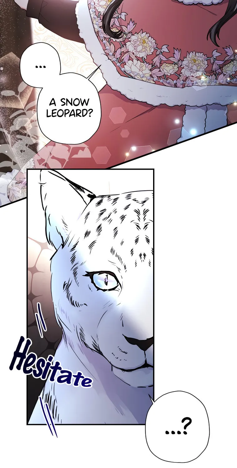 The Male Lead