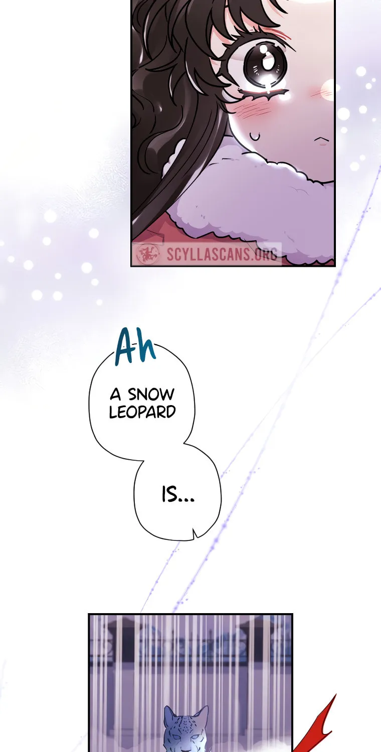 The Male Lead