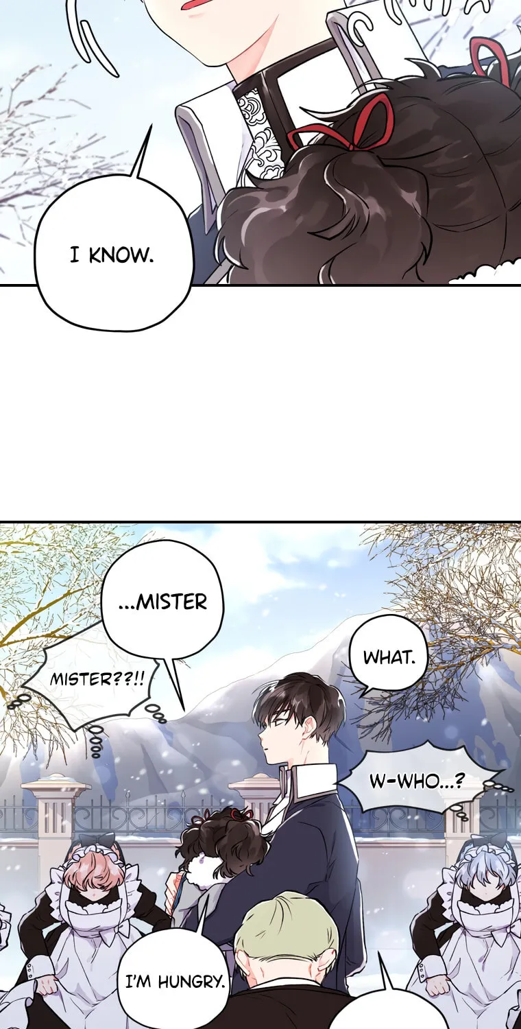 The Male Lead