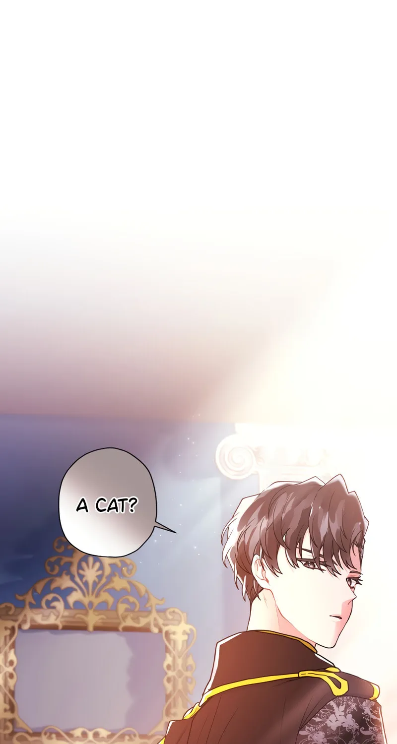 The Male Lead