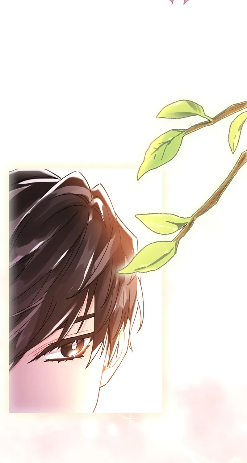 The Male Lead
