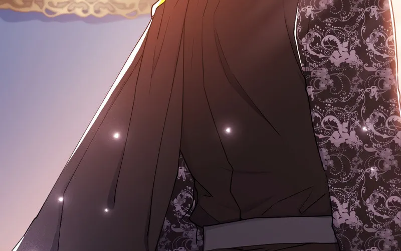 The Male Lead