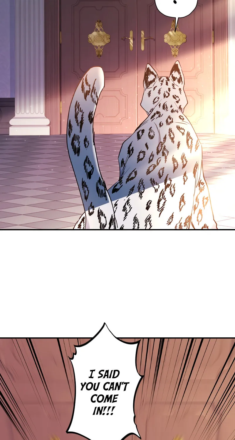 The Male Lead